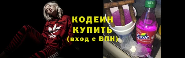 Альфа ПВП Лагань
