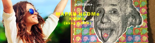 хмурый Краснослободск